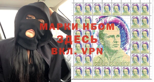гидра Арсеньев