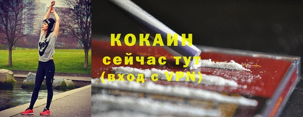 гидра Арсеньев